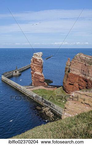 "View from Oberland, the Upper Land, towards Lange Anna or Tall Anna, island of Heligoland, Schleswig-Holstein, Germany, Europe" View Large Photo Image Picture - "View from Oberland, the Upper Land, towards Lange Anna or Tall Anna, island of Heligoland, Schleswig-Holstein, Germany, Europe". Fotosearch
