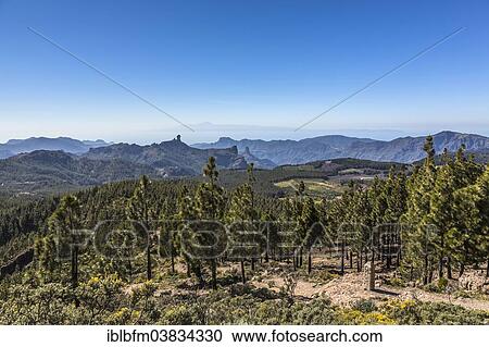 Stock Image - "View from Pico de las Nieves towards Roque Nublo Mountain, Teide Mountain on the island of Tenerife at the rear, Gran Canaria, Canary Islands, Spain, Europe". Fotosearch