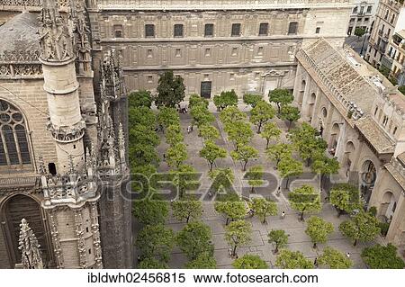 "View from the bell tower into the orange tree courtyard of the Cathedral of Santa Maria de la Sede and over the city, Seville, Andalusia, Spain, Europe" View Large Photo Image Stock Photography - "View from the bell tower into the orange tree courtyard of the Cathedral of Santa Maria de la Sede and over the city, Seville, Andalusia, Spain, Europe". Fotosearch