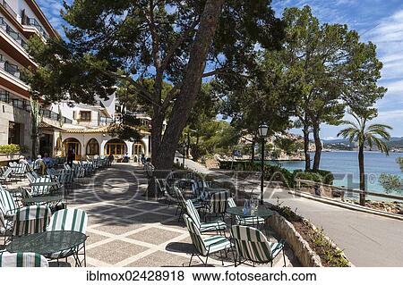 "View from the Cala Fornells Hotel to the bay of Cala Fornells, Mallorca, Balearic Islands, Spain, Europe" View Large Photo Image Stock Photo - "View from the Cala Fornells Hotel to the bay of Cala Fornells, Mallorca, Balearic Islands, Spain, Europe". Fotosearch