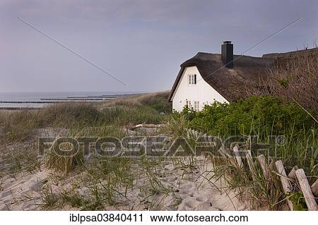 "View from the Fischland banks on the coast, thatched house, Ahrenshoop, Fischland-Darss-Zingst, Mecklenburg-Western Pomerania, Germany, Europe" View Large Photo Image Stock Image - "View from the Fischland banks on the coast, thatched house, Ahrenshoop, Fischland-Darss-Zingst, Mecklenburg-Western Pomerania, Germany, Europe". Fotosearch
