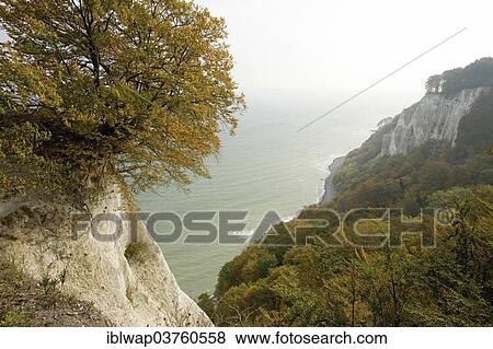 "View from the King's Chair, Jasmund National Park, Rugen, Mecklenburg-Western Pomerania, Germany, Europe" View Large Photo Image Stock Photo - "View from the King's Chair, Jasmund National Park, Rugen, Mecklenburg-Western Pomerania, Germany, Europe". Fotosearch