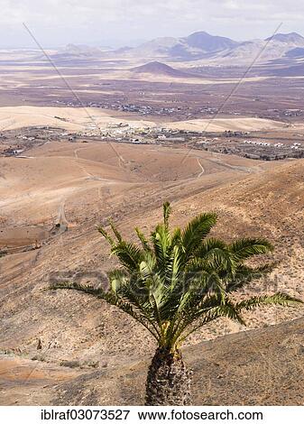 "View from the Mirador de Morro Velosa across the valley, Mirador de Morro Velosa, Fuerteventura, Canary Islands, Spain, Europe" View Large Photo Image Stock Photo - "View from the Mirador de Morro Velosa across the valley, Mirador de Morro Velosa, Fuerteventura, Canary Islands, Spain, Europe". Fotosearch