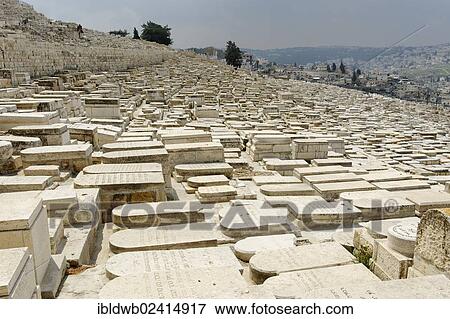 View from the Mount of Olives over the tombs of the Jewish cemetery, Jerusalem, Israel, Middle East, Asia View Large Photo Image Stock Photo - View from the Mount of Olives over the tombs of the Jewish cemetery, Jerusalem, Israel, Middle East, Asia. Fotosearch