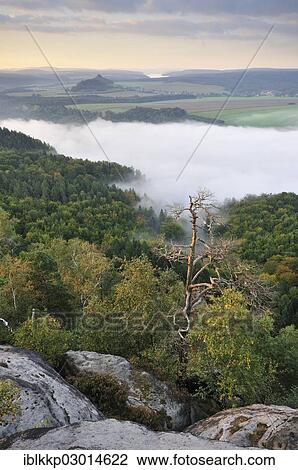 "View from the Schrammsteine rocks over the Elbe Valley towards Zirkelstein and Kaiserkrone in autumn at sunrise, Elbe Sandstone Mountains, Saxon Switzerland region, Saxony, Germany, Europe" View Large Photo Image Stock Image - "View from the Schrammsteine rocks over the Elbe Valley towards Zirkelstein and Kaiserkrone in autumn at sunrise, Elbe Sandstone Mountains, Saxon Switzerland region, Saxony, Germany, Europe". Fotosearch