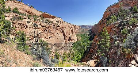 "View into the Betatakin Canyon, Flagstaff, Arizona, United States, North America" View Large Photo Image Stock Photo - "View into the Betatakin Canyon, Flagstaff, Arizona, United States, North America". Fotosearch