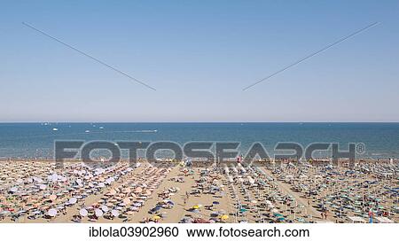 "View of a beach with sunshades and sun beds in the afternoon, 4 pm, image 7 of 9, Lignano Sabbiadoro, Udine province, Adriatic Coast, Italy, Europe" View Large Photo Image Stock Image - "View of a beach with sunshades and sun beds in the afternoon, 4 pm, image 7 of 9, Lignano Sabbiadoro, Udine province, Adriatic Coast, Italy, Europe". Fotosearch