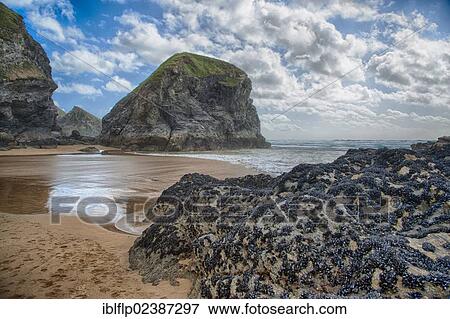 Stock Photo - "View of beach with slate outcrops, Bedruthan Steps, Bedruthan, Cornwall, England, United Kingdom, Europe". Fotosearch