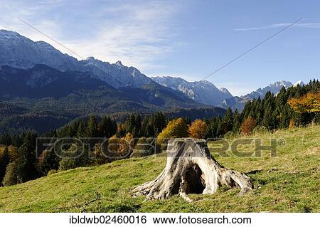 "View of Elmauer Alm alp, near Mittenwald, Werdenfelser Land region, Upper Bavaria, Bavaria, Germany, Europe" View Large Photo Image Stock Photograph - "View of Elmauer Alm alp, near Mittenwald, Werdenfelser Land region, Upper Bavaria, Bavaria, Germany, Europe". Fotosearch
