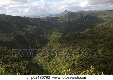 "View of forested hillside habitat, Black River Gorges National Park, Black River District, West Mauritius, Africa" View Large Photo Image Stock Image - "View of forested hillside habitat, Black River Gorges National Park, Black River District, West Mauritius, Africa". Fotosearch