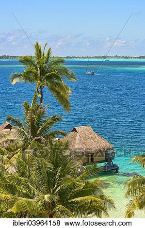 "View of lagoon, South Pacific, Bora Bora, French Polynesia, Oceania" View Large Photo Image Stock Photo - "View of lagoon, South Pacific, Bora Bora, French Polynesia, Oceania". Fotosearch