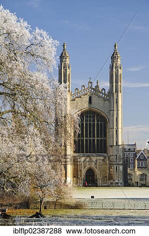 "View of Late Gothic chapel and trees in hoar frost, seen from The Backs, King's College Chapel, Cambridge, Cambridgeshire, England, United Kingdom, Europe" View Large Photo Image Stock Photo - "View of Late Gothic chapel and trees in hoar frost, seen from The Backs, King's College Chapel, Cambridge, Cambridgeshire, England, United Kingdom, Europe". Fotosearch