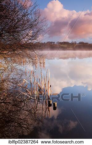 "View of mist rising off lake at sunrise, Lower Tamar Lake, near Kilkhampton, Cornwall, England, United Kingdom, Europe" View Large Photo Image Picture - "View of mist rising off lake at sunrise, Lower Tamar Lake, near Kilkhampton, Cornwall, England, United Kingdom, Europe". Fotosearch