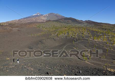 "View of Mount Teide, 3718 m, Pico del Viejo, 3134 m and Volcan de la Botija volcano, 2122 m, seen from the Samara crater, UNESCO World Heritage Site, Teide National Park, Tenerife, Canary Islands, Spain, Europe" View Large Photo Image Stock Photo - "View of Mount Teide, 3718 m, Pico del Viejo, 3134 m and Volcan de la Botija volcano, 2122 m, seen from the Samara crater, UNESCO World Heritage Site, Teide National Park, Tenerife, Canary Islands, Spain, Europe". Fotosearch