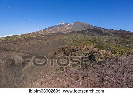 "View of Mount Teide, 3718 m, Pico del Viejo, 3134 m and Volcan de la Botija volcano, 2122 m, seen from the Samara crater, UNESCO World Heritage Site, Teide National Park, Tenerife, Canary Islands, Spain, Europe" View Large Photo Image Stock Photography - "View of Mount Teide, 3718 m, Pico del Viejo, 3134 m and Volcan de la Botija volcano, 2122 m, seen from the Samara crater, UNESCO World Heritage Site, Teide National Park, Tenerife, Canary Islands, Spain, Europe". Fotosearch