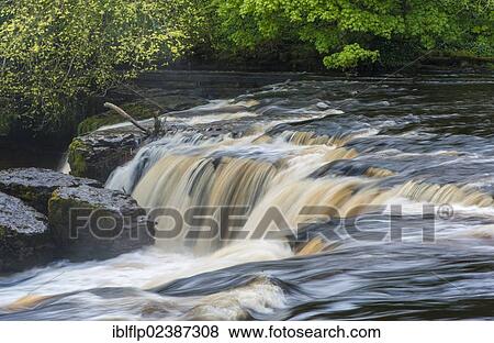 "View of river and waterfall, Aysgarth Falls, River Ure, Askrigg, Wensleydale, Yorkshire Dales National Park, North Yorkshire, England, United Kingdom, Europe" View Large Photo Image Stock Photo - "View of river and waterfall, Aysgarth Falls, River Ure, Askrigg, Wensleydale, Yorkshire Dales National Park, North Yorkshire, England, United Kingdom, Europe". Fotosearch