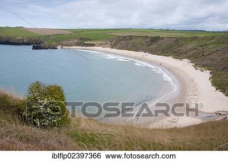 "View of sea cove, Porth Oer, Whisting Sands, Lleyn Peninsula, Gwynedd, Wales, United Kingdom, Europe" View Large Photo Image Stock Photograph - "View of sea cove, Porth Oer, Whisting Sands, Lleyn Peninsula, Gwynedd, Wales, United Kingdom, Europe". Fotosearch