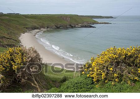 "View of sea cove, Porth Towyn, Lleyn Peninsula, Gwynedd, Wales, United Kingdom, Europe" View Large Photo Image Stock Photo - "View of sea cove, Porth Towyn, Lleyn Peninsula, Gwynedd, Wales, United Kingdom, Europe". Fotosearch