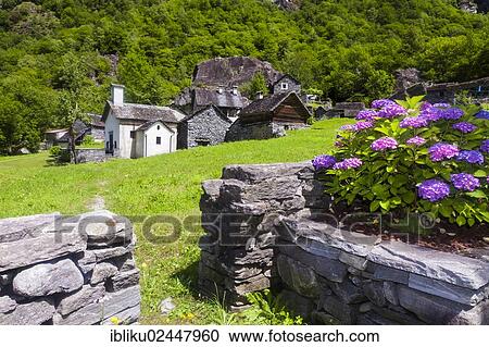 "View of the hamlet of Sabbione with chapel, Bavona Valley, Val Bavona, Maggia Valley, Valle Maggia, Ticino, Switzerland, Europe" View Large Photo Image Stock Image - "View of the hamlet of Sabbione with chapel, Bavona Valley, Val Bavona, Maggia Valley, Valle Maggia, Ticino, Switzerland, Europe". Fotosearch