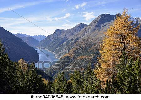 "View of the Lago di Livigno, Munt la Shera, Swiss National Park, Lower Engadine, Canton of Graubunden, Switzerland, Europe" View Large Photo Image Stock Photo - "View of the Lago di Livigno, Munt la Shera, Swiss National Park, Lower Engadine, Canton of Graubunden, Switzerland, Europe". Fotosearch