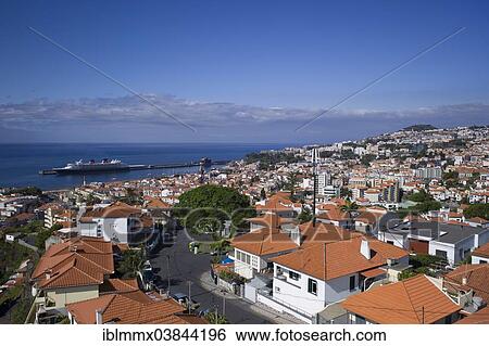 "View of the town of Funchal, port at the back, Madeira, Portugal, Europe" View Large Photo Image Stock Photograph - "View of the town of Funchal, port at the back, Madeira, Portugal, Europe". Fotosearch