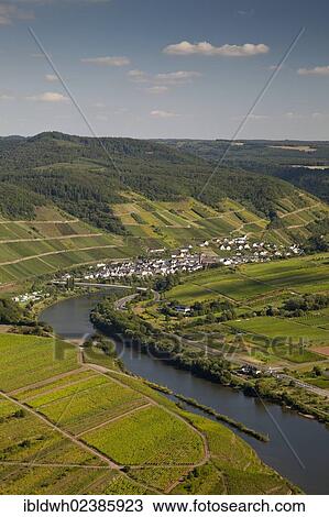 "View of the town of Neef, Calmont, Moselle river, Rhineland-Palatinate, Germany, Europe, PublicGround, Europe" View Large Photo Image Stock Image - "View of the town of Neef, Calmont, Moselle river, Rhineland-Palatinate, Germany, Europe, PublicGround, Europe". Fotosearch