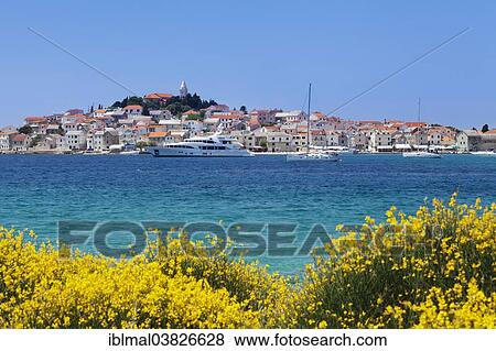 "View of the town of Primosten, Adriatic coast, Dalmatia, Croatia, Europe" View Large Photo Image Stock Photo - "View of the town of Primosten, Adriatic coast, Dalmatia, Croatia, Europe". Fotosearch