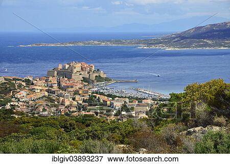 "View of the town with the harbor and the citadel, Calvi, Corsica, France, Europe" View Large Photo Image Stock Photo - "View of the town with the harbor and the citadel, Calvi, Corsica, France, Europe". Fotosearch