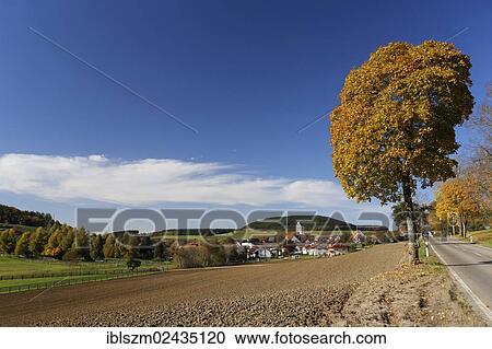 "View of the village of Riedboehringen in autumn, Baden-Wuerttemberg, Germany, Europe" View Large Photo Image Stock Image - "View of the village of Riedboehringen in autumn, Baden-Wuerttemberg, Germany, Europe". Fotosearch