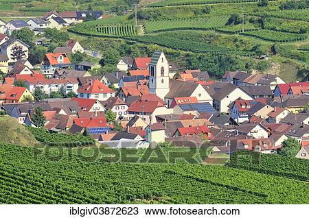 Stock Image - "View of the vineyards and 0berbergen, Vogtsburg, Kaiserstuhl range, Baden-Wurttemberg, Germany, Europe". Fotosearch