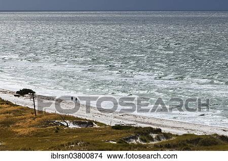 Picture - "View on the western beach of Darsser Ort, Fischland-Darss-Zingst, Germany, Europe". Fotosearch