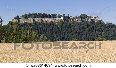 "View over a corn field towards, Konigstein, Saxon Switzerland region, Saxony, Germany, Europe" View Large Photo Image Picture - "View over a corn field towards, Konigstein, Saxon Switzerland region, Saxony, Germany, Europe". Fotosearch