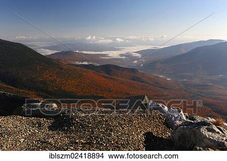 Picture - View over an autumn forest with fog, Mount Washington, New Hampshire, USA. Fotosearch