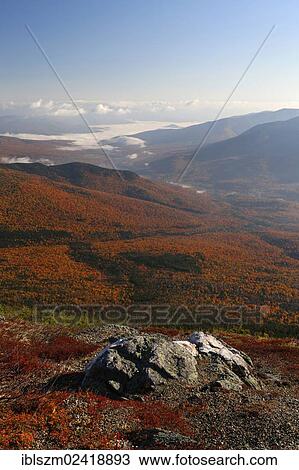 View over an autumn forest with fog, Mount Washington, New Hampshire, USA View Large Photo Image Stock Image - View over an autumn forest with fog, Mount Washington, New Hampshire, USA. Fotosearch
