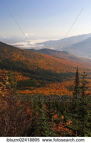 View over an autumn forest with fog, Mount Washington, New Hampshire, USA View Large Photo Image Stock Photography - View over an autumn forest with fog, Mount Washington, New Hampshire, USA. Fotosearch