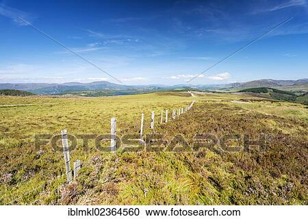 "View over heathland at the 387m high lookout point of Suidhe View in the North West Highlands, Scotland, United Kingdom, Europe" View Large Photo Image Stock Image - "View over heathland at the 387m high lookout point of Suidhe View in the North West Highlands, Scotland, United Kingdom, Europe". Fotosearch