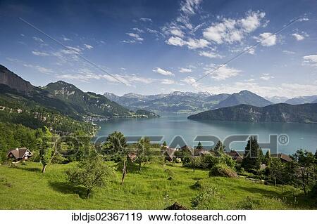 "View over Lake Lucerne, near Weggis, Canton of Lucerne, Switzerland, Europe" View Large Photo Image Stock Photo - "View over Lake Lucerne, near Weggis, Canton of Lucerne, Switzerland, Europe". Fotosearch