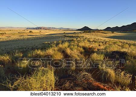 Stock Image - "View over Namib Rand Nature Reserve, Namib Desert, Namibia, Africa". Fotosearch