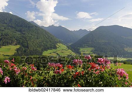 View over the Ridnauntal valley to the Jaufenpass, Southern Tyrol, Alto Adige, Italy, Europe View Large Photo Image Stock Photograph - View over the Ridnauntal valley to the Jaufenpass, Southern Tyrol, Alto Adige, Italy, Europe. Fotosearch