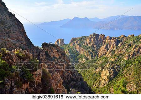 Stock Photography - "View over the sandstone cliffs towards the sea, Calanques de Piana, Corsica, France, Europe". Fotosearch