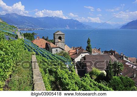 Stock Photo - "View over the wine-producing village and Lake Geneva towards the Swiss Rhone Valley, Saint-Saphorin, Lavaux, Canton of Vaud, Switzerland, Europe". Fotosearch