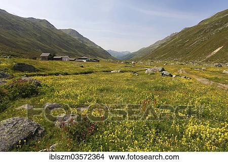 "View towards Durrboden, Dischma Valley, Davos, Graubunden, Switzerland, Europe" View Large Photo Image Picture - "View towards Durrboden, Dischma Valley, Davos, Graubunden, Switzerland, Europe". Fotosearch