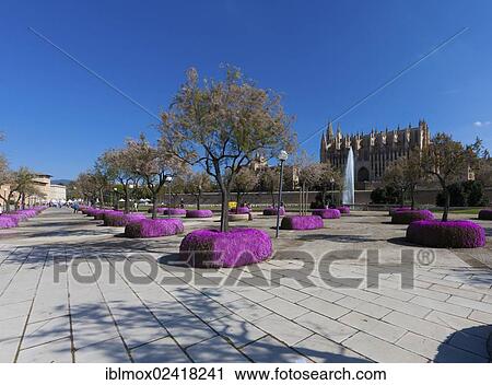 Stock Image - View towards La Seu Cathedral, historic town centre, Palma de Mallorca, Majorca, Balearic Islands, Spain, Europe. Fotosearch