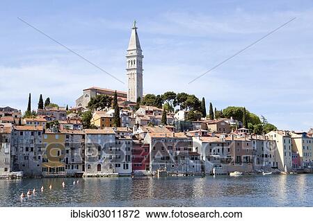 "View towards the historic town centre with the Parish Church of St. Euphemia, Rovinj, Rovingo, Istria, Croatia, Europe, Rovinj, Croatia, Europe" View Large Photo Image Stock Image - "View towards the historic town centre with the Parish Church of St. Euphemia, Rovinj, Rovingo, Istria, Croatia, Europe, Rovinj, Croatia, Europe". Fotosearch