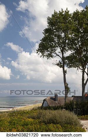 "Views from Fischland-Hochufer towards the coast, Baltic Sea resort of Ahrenshoop, Baltic Sea peninsula of Fischland-Darss-Zingst, Mecklenburg-Vorpommern, Germany, Europe" View Large Photo Image Stock Image - "Views from Fischland-Hochufer towards the coast, Baltic Sea resort of Ahrenshoop, Baltic Sea peninsula of Fischland-Darss-Zingst, Mecklenburg-Vorpommern, Germany, Europe". Fotosearch