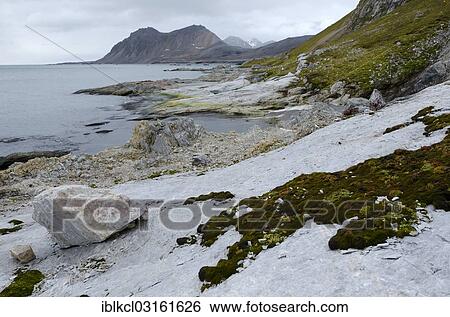 "Views from the limestone cliffs near Gnalodden towards Fannypynten, Gnalberget, Hornsund, Spitsbergen Island, Svalbard Archipelago, Svalbard and Jan Mayen, Norway, Europe" View Large Photo Image Stock Photograph - "Views from the limestone cliffs near Gnalodden towards Fannypynten, Gnalberget, Hornsund, Spitsbergen Island, Svalbard Archipelago, Svalbard and Jan Mayen, Norway, Europe". Fotosearch