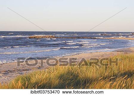 "Views of the Schoenberger Strand beach and the Baltic Sea from the dike, Schonberg, Schleswig-Holstein, Germany, Europe" View Large Photo Image Stock Image - "Views of the Schoenberger Strand beach and the Baltic Sea from the dike, Schonberg, Schleswig-Holstein, Germany, Europe". Fotosearch