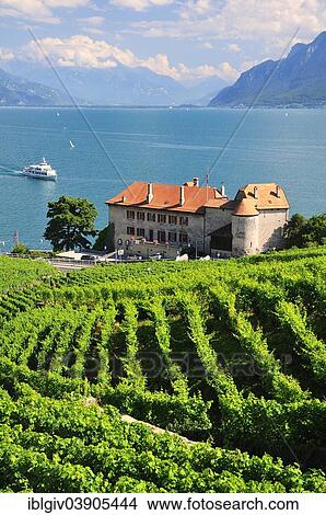 "Views over the vineyards with Chateau de Glerolles and Lake Geneva towards the Swiss Rhone Valley, Saint-Saphorin, Lavaux, Canton of Vaud, Switzerland, Europe" View Large Photo Image Picture - "Views over the vineyards with Chateau de Glerolles and Lake Geneva towards the Swiss Rhone Valley, Saint-Saphorin, Lavaux, Canton of Vaud, Switzerland, Europe". Fotosearch