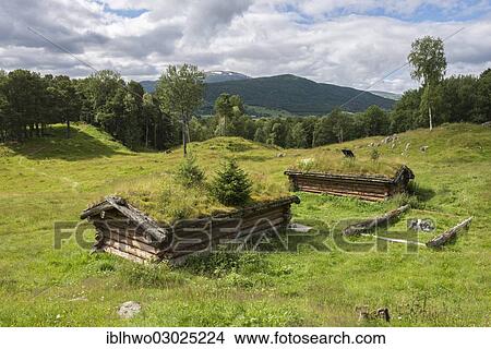 "Viking grave hills, meadows and woodland, reconstructed log houses, 11th Century, at front, Vang near Oppdal, Sor-Trondelag, Trondelag, Norway, Europe" View Large Photo Image Picture - "Viking grave hills, meadows and woodland, reconstructed log houses, 11th Century, at front, Vang near Oppdal, Sor-Trondelag, Trondelag, Norway, Europe". Fotosearch