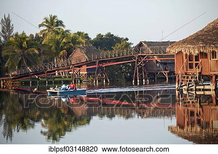 "Villa Guama in the morning light, small hotel on stilts in the style of a Native American village, Villa Guama, Boca de Guama, Matanzas, Cuba, North America" View Large Photo Image Stock Image - "Villa Guama in the morning light, small hotel on stilts in the style of a Native American village, Villa Guama, Boca de Guama, Matanzas, Cuba, North America". Fotosearch